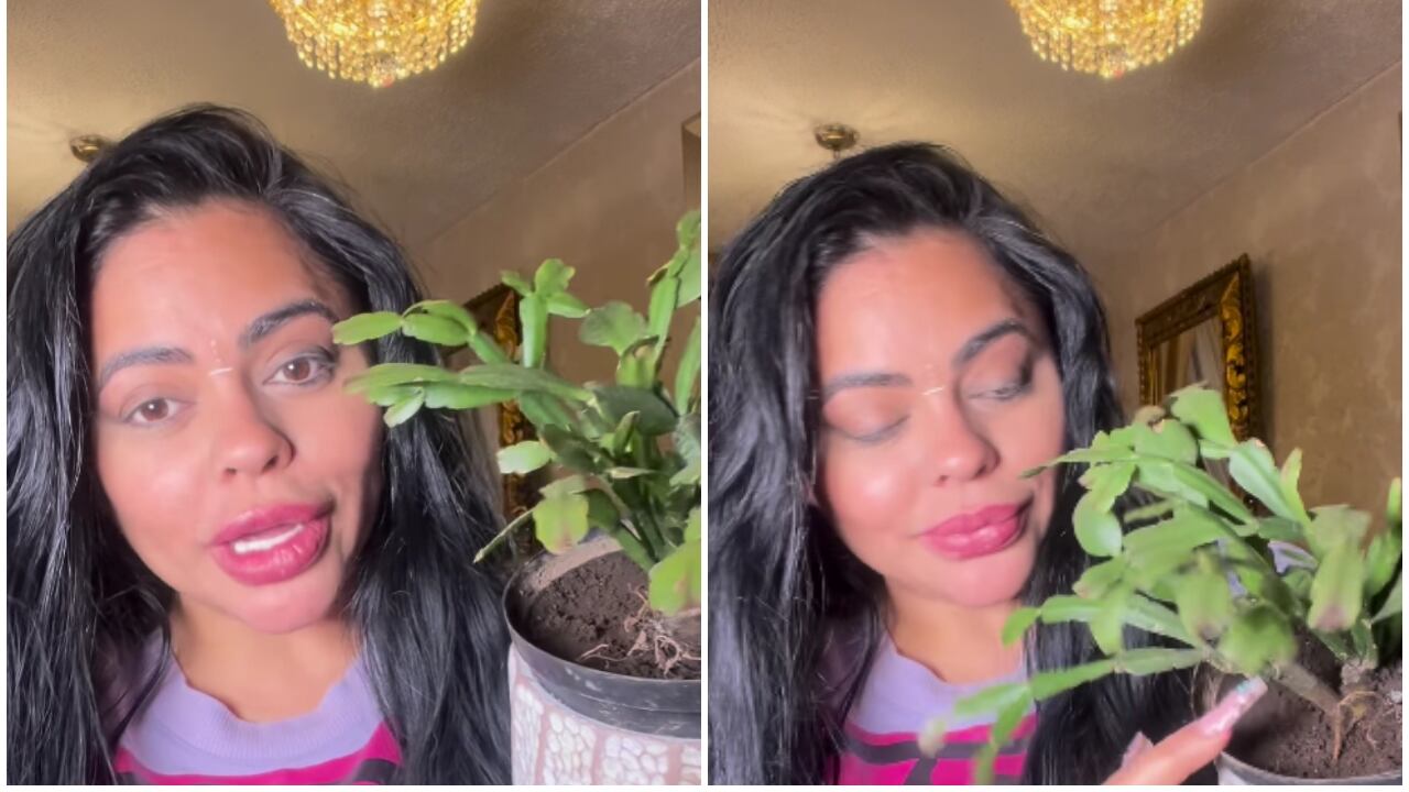 Koral Costa, pareja de Bola 8, mostró cómo se come la tierra de su maceta.