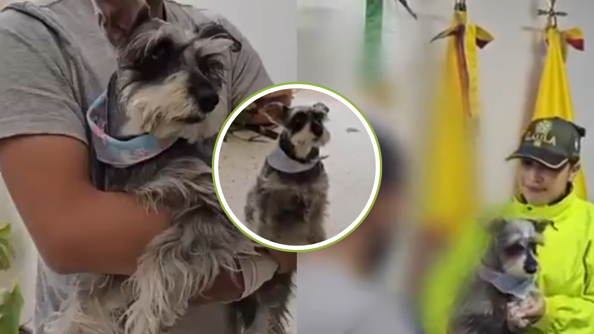 La Policía logró rescatar a un perro que fue raptado de su familia y por el que los estaban extorsionando para devolverlo: el vídeo generó ternura en redes