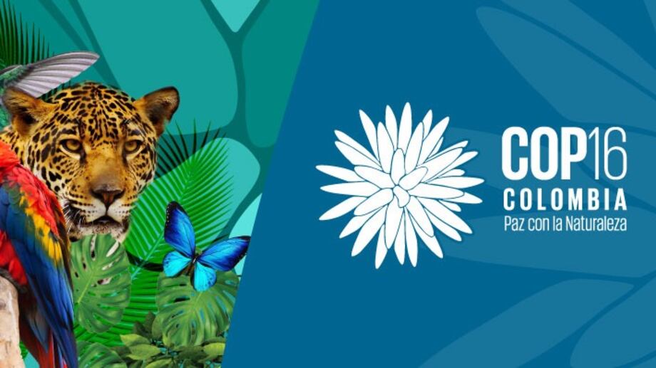Colombia se prepara para llevar a cabo la conferencia de diversidad más importante del mundo.