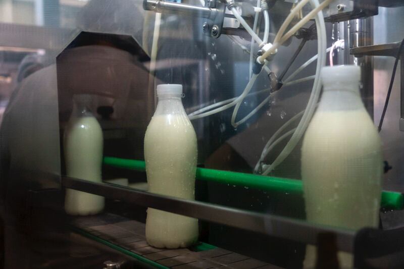 Productos fermentados con Fibra GOS