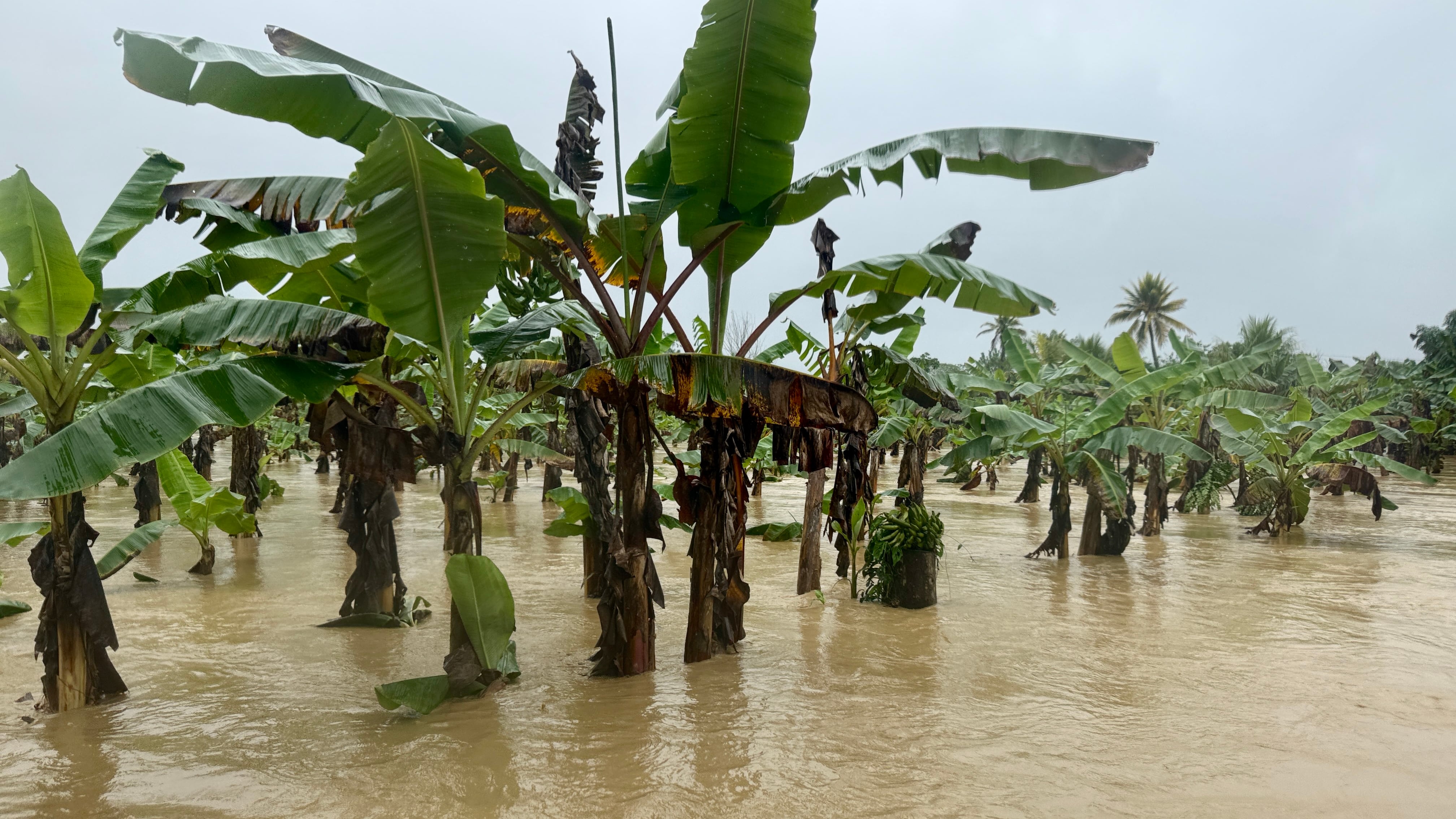 Necoclí bajo el agua