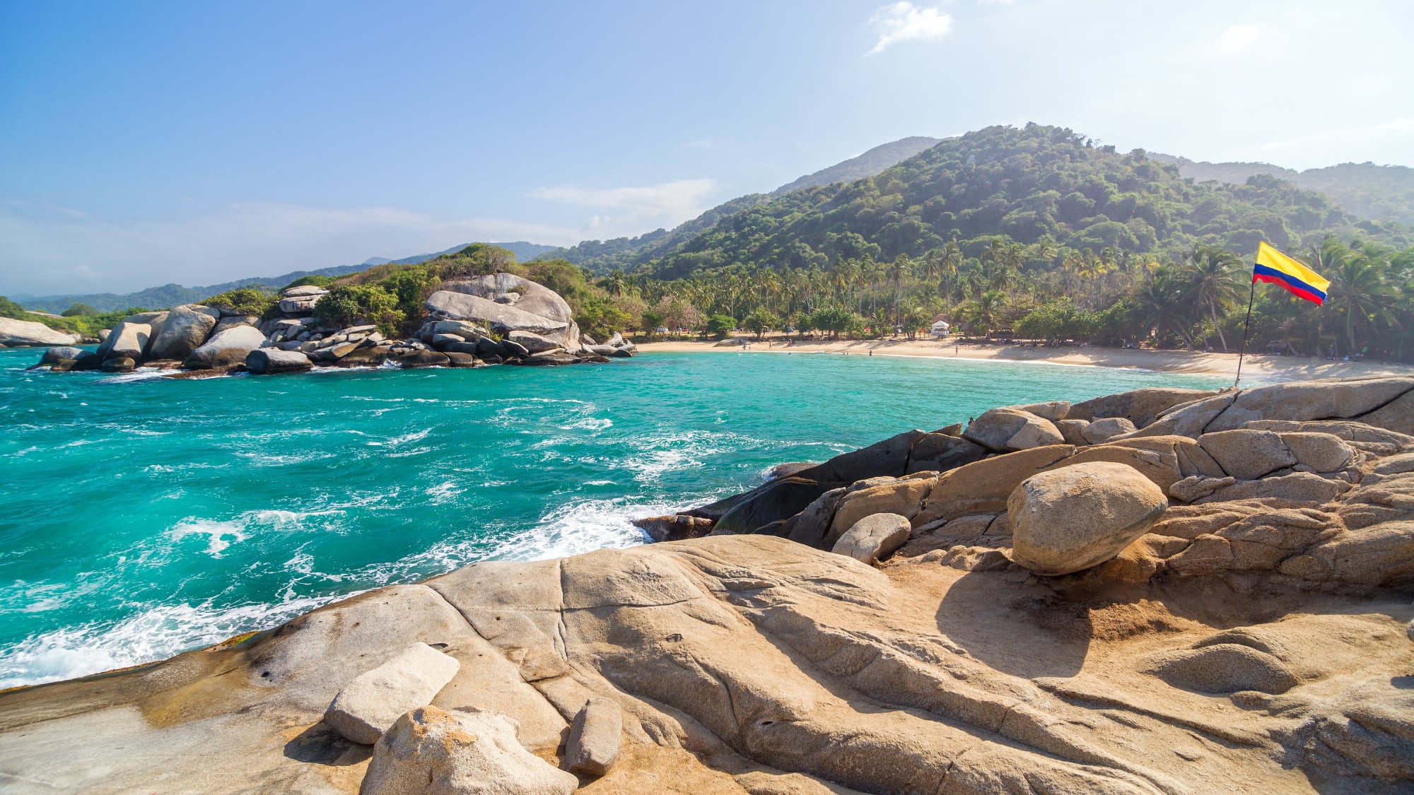 Camino hacia Carbono Neutral