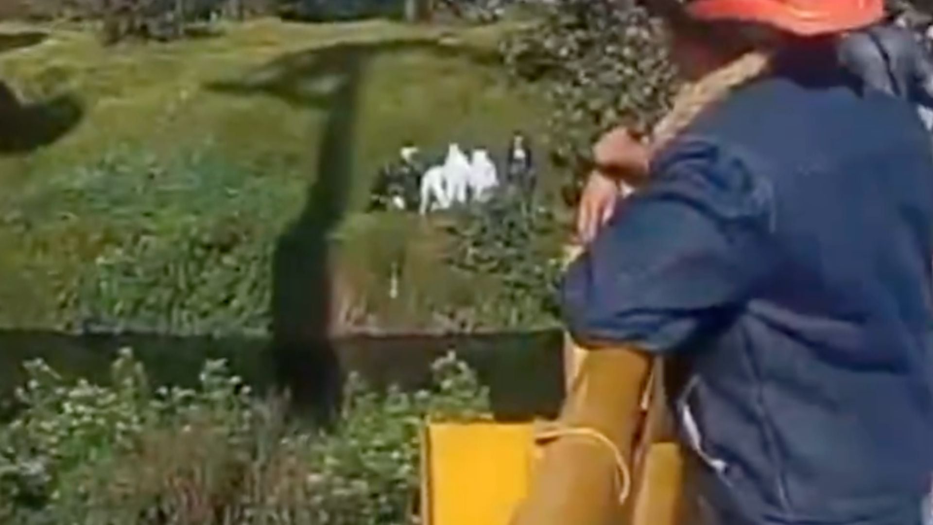 Archivo: Redes sociales