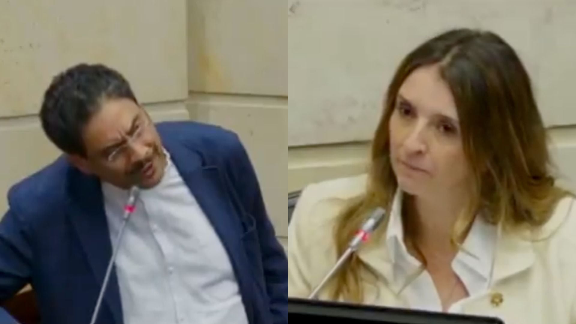 Foto: captura de pantalla - debate en el Senado.
