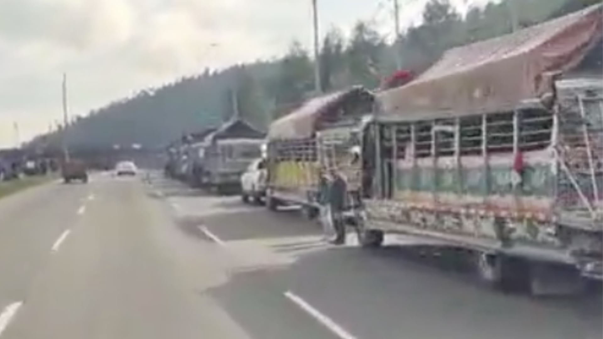 Bogotá recibe masiva movilización: 800 indígenas Misak llegan a la capital por la vida y el territorio