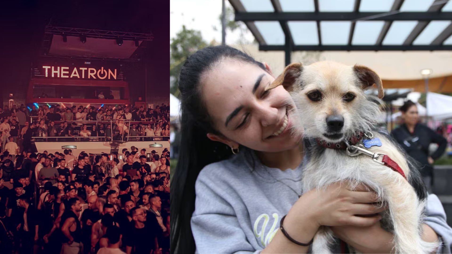 Alcaldía de Bogotá hará jornada de adopción de mascotas en Theatron