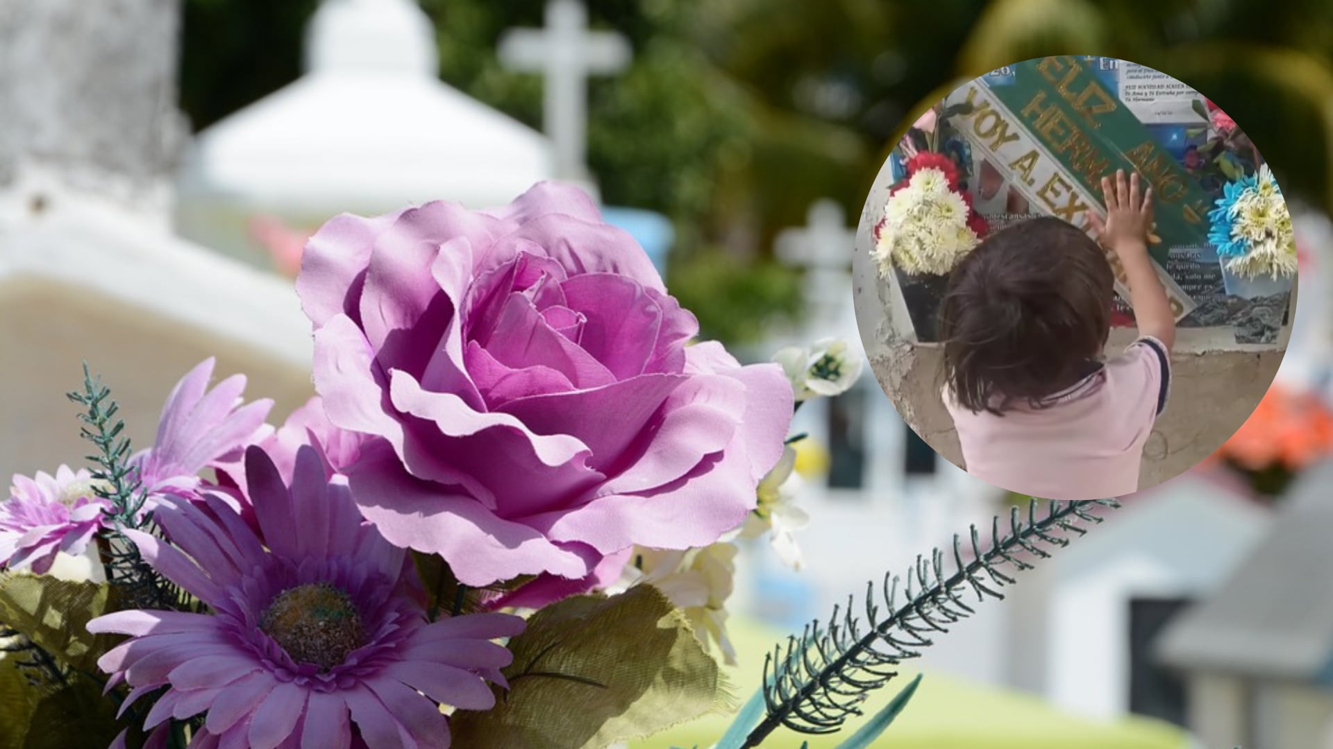 Montaje - Cementerio Pixabay. Instagram @noticiaselavisperolebrija