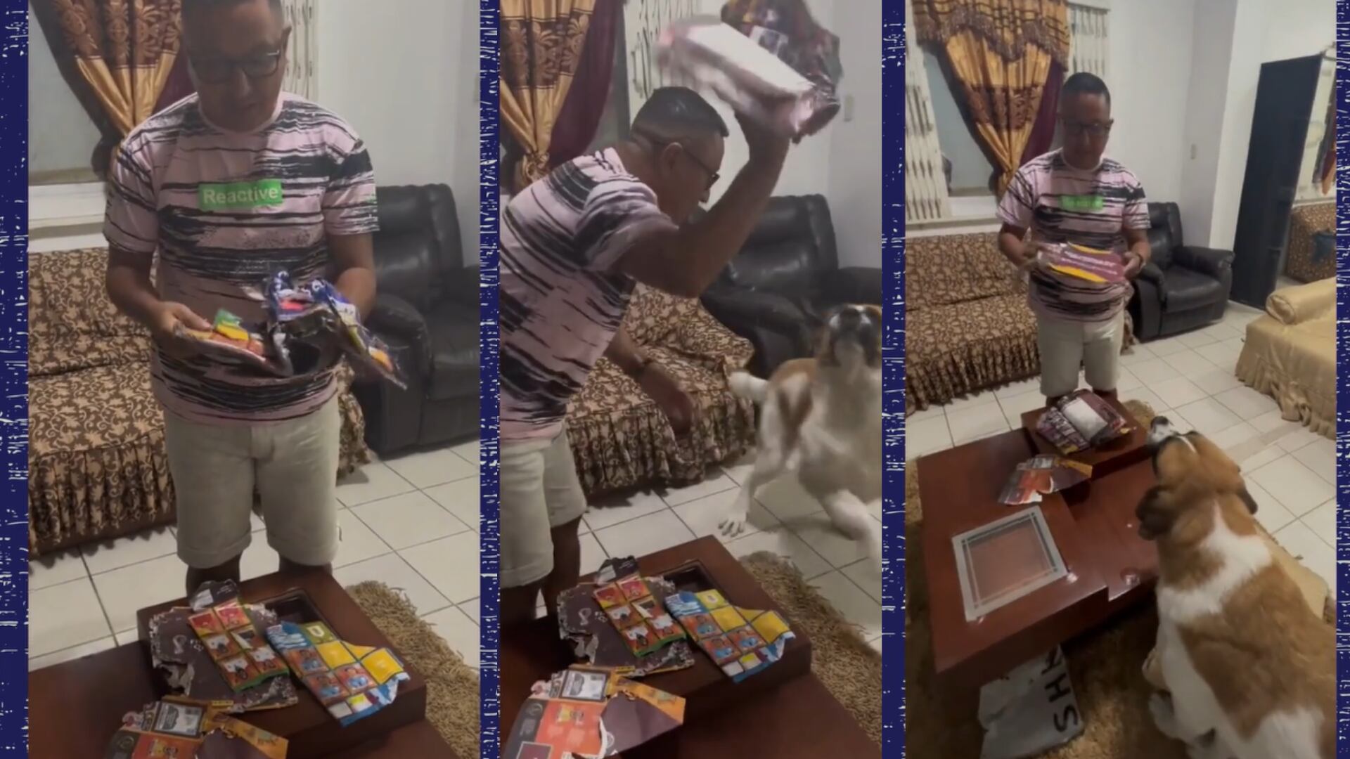 Perro le destrozó el álbum del Mundial