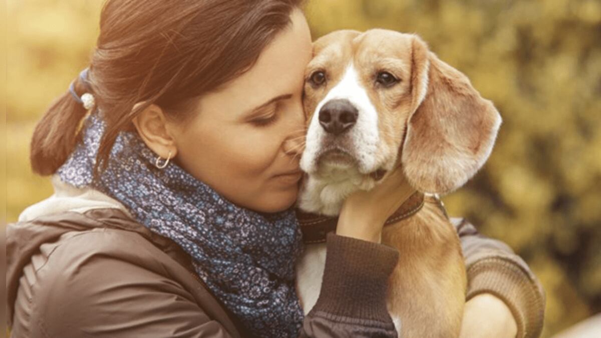 Las personas se llenan de energía con el apoyo de perros y gatos.