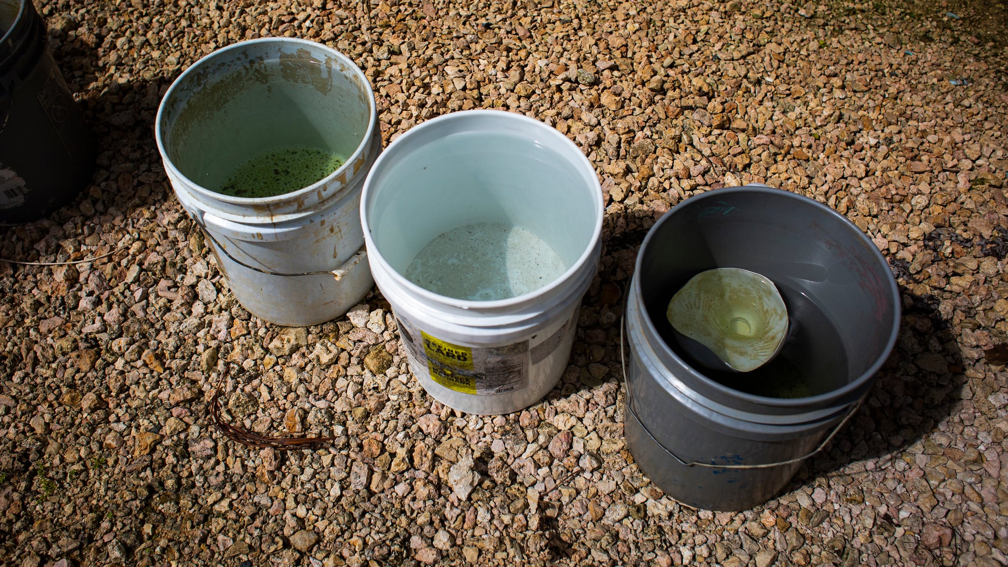 Tres baldes de agua llenos con agua de lluvia.