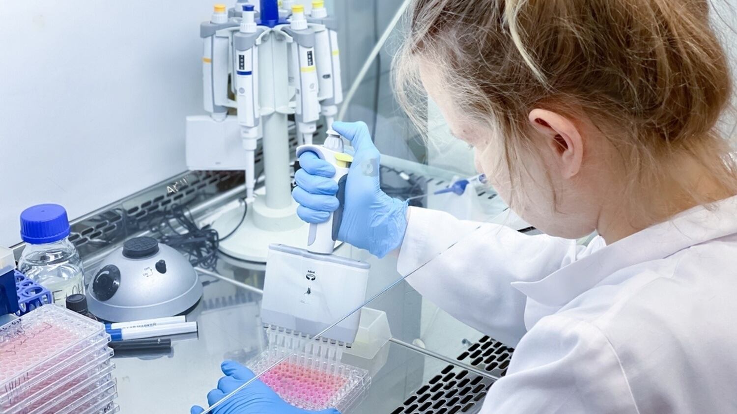 Foto: experimento biológico en células cancerígenas