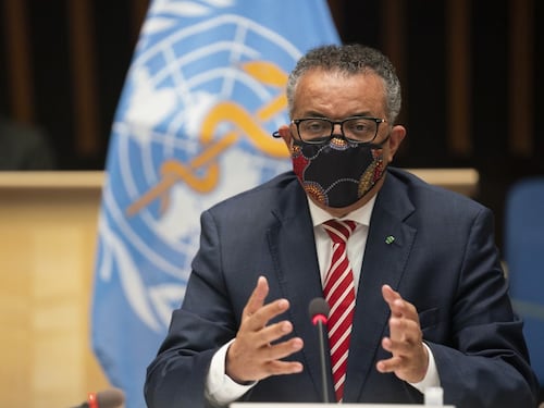 OMS avisa un alto riesgo de expansión del brote de ántrax