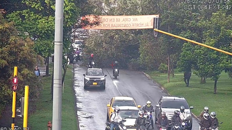 De no creer: mujer que iba para una entrevista de trabajo en un taxi, se vio afectada por la caída de un árbol