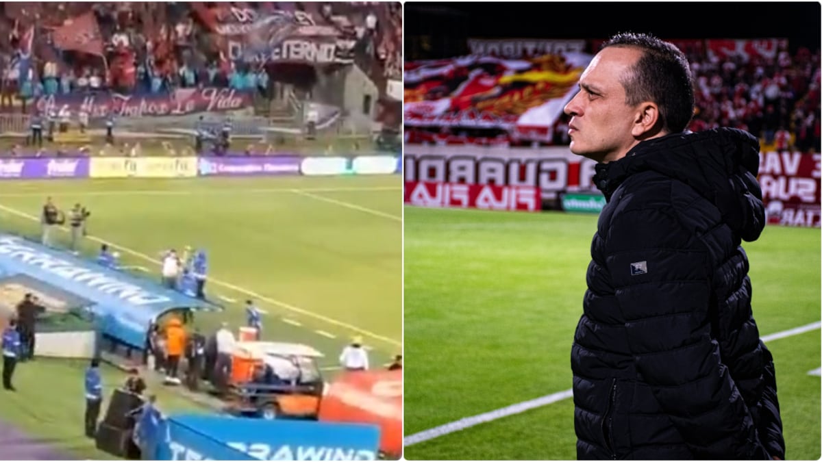 Hincha de Medellín se metió a la cancha a intentar agredir a Alejandro Restrepo en el Atanasio