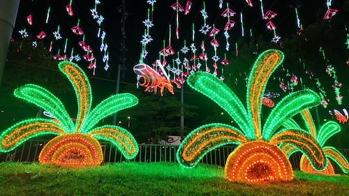 Alumbrados Navidad 2025