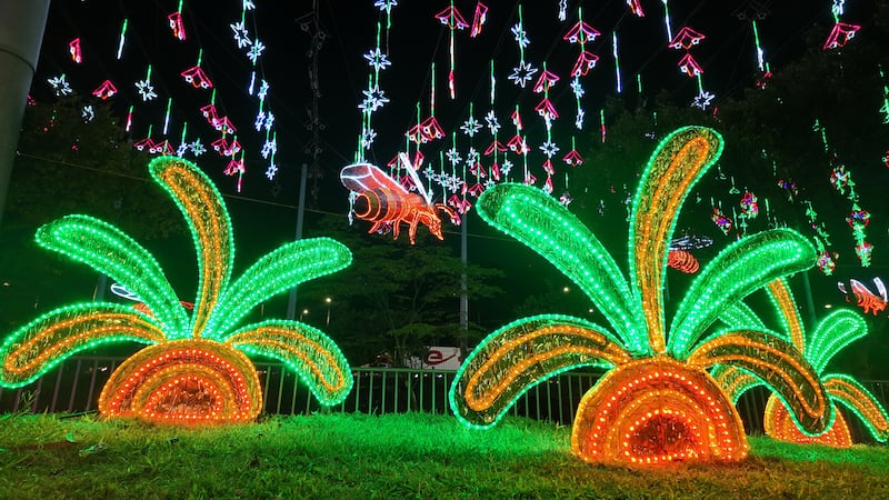 Alumbrados Navidad 2025