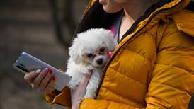 Apps para mascotas filtran información sobre sus dueños